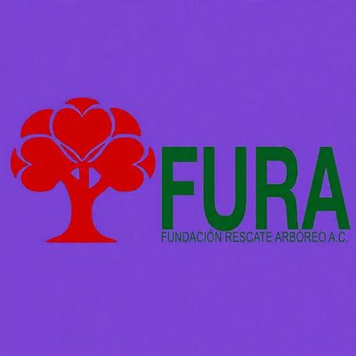 FURA, A.C. 🇲🇽 tweet media