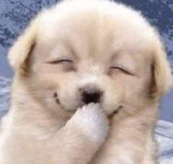 はくなまたた tweet media