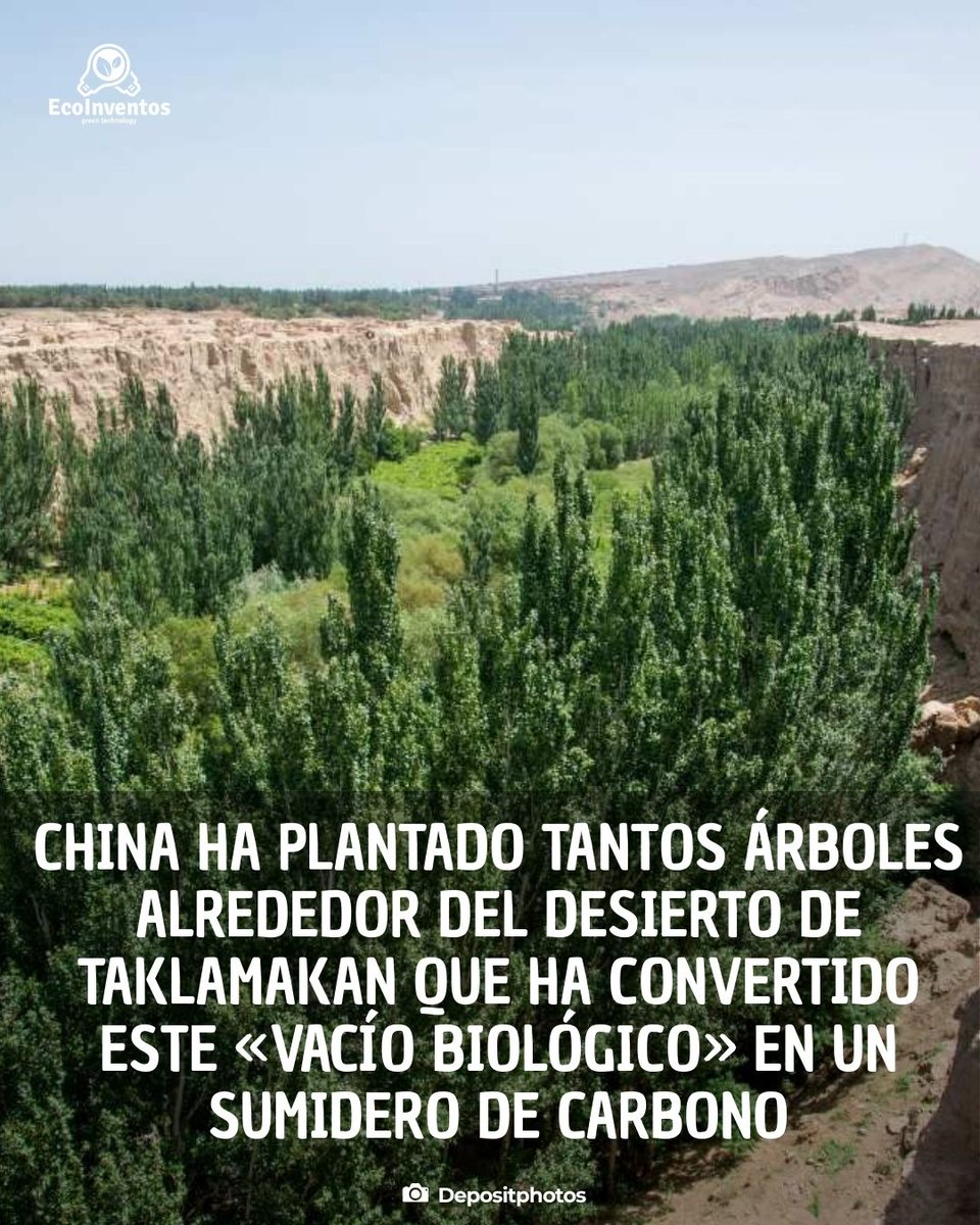 EcoInventos tweet media