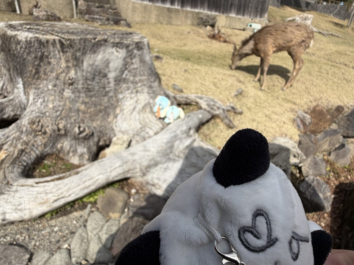 安全地帯からの見学