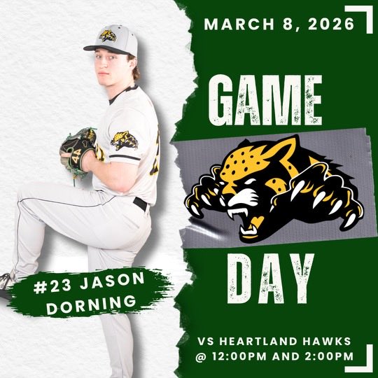 Danville Area CC Baseball tweet media