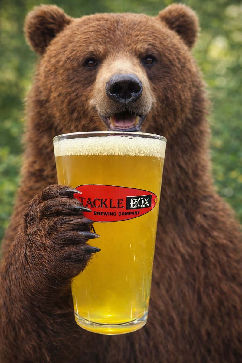 Tackle Box Brewing tweet media