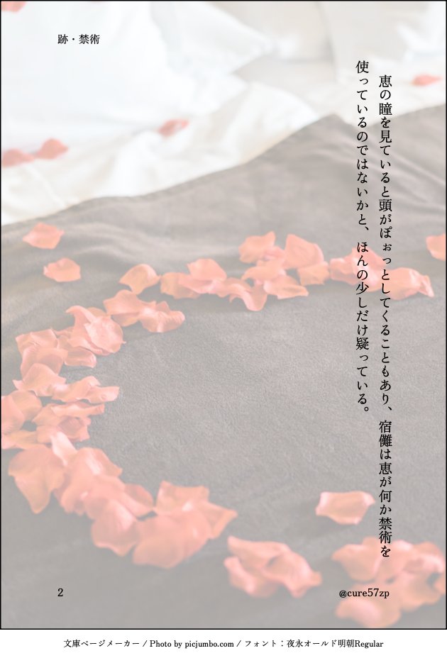 お題：跡・禁術
伏くんの式神やってる宿様シリーズで全お題消化完了！！
宿様の心情。情事のことに言及していますが、ぽやぽやしてます。

 #伏宿アンソロ連動2439月間