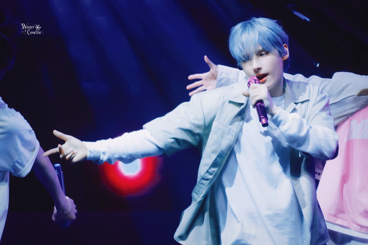 WinterCamellia tweet media