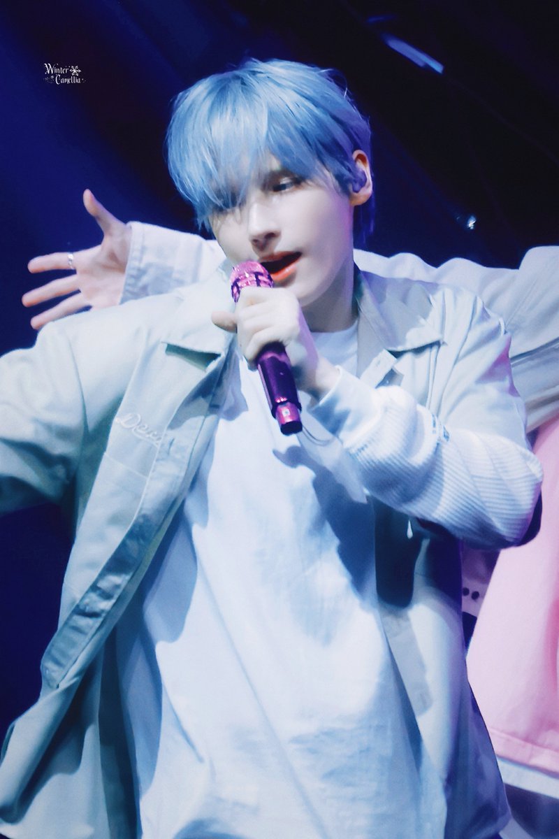 WinterCamellia tweet media