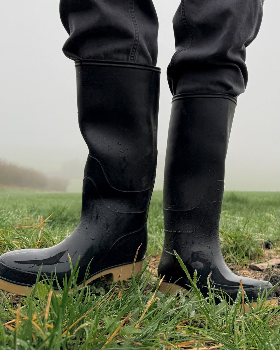 Zach Benn tweet media