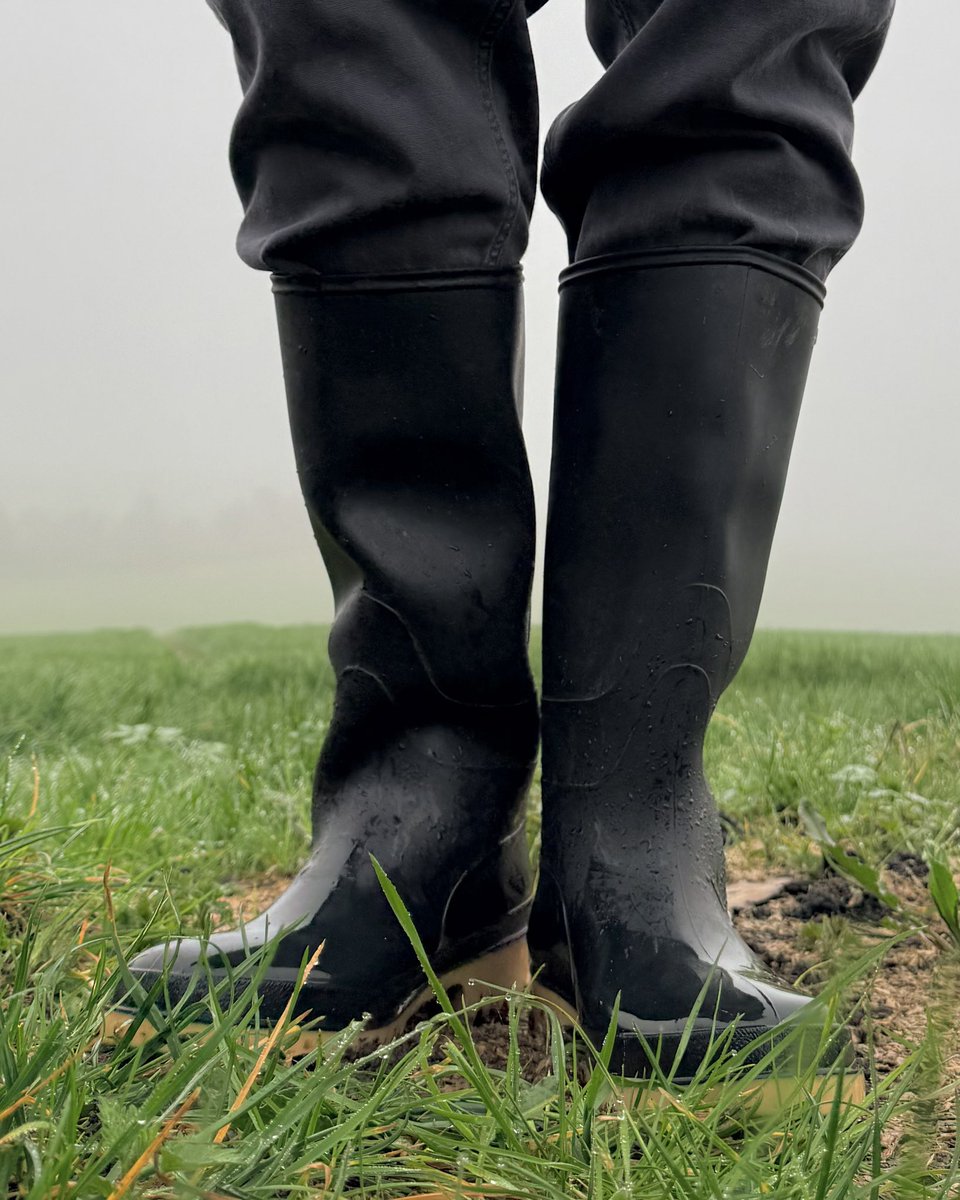 Zach Benn tweet media