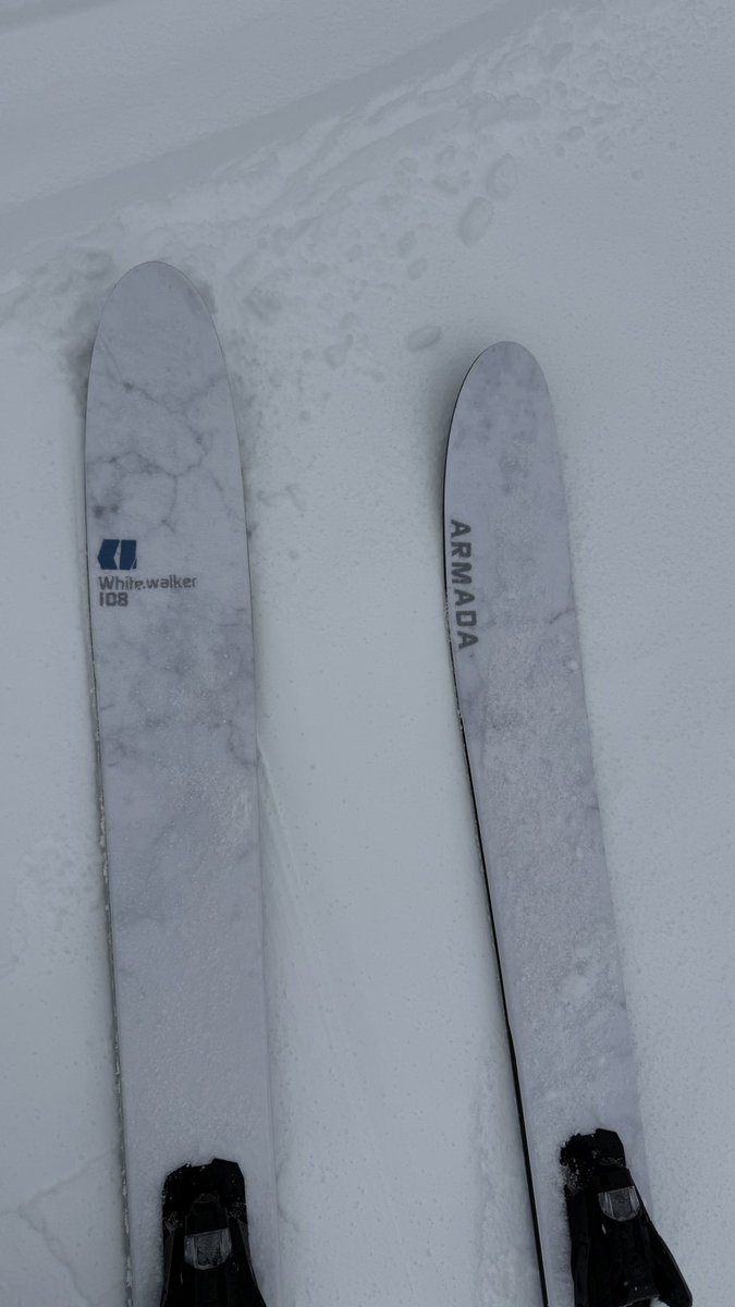 whitewalker　フレームとセパレータのみ アルマダ White. walker スタッフさんお勧めで乗った。とても良いが、1
