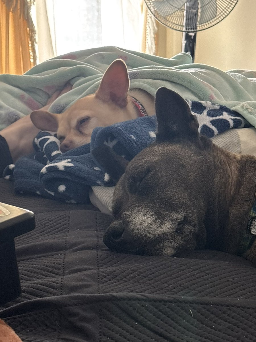 Kate Melvin tweet media