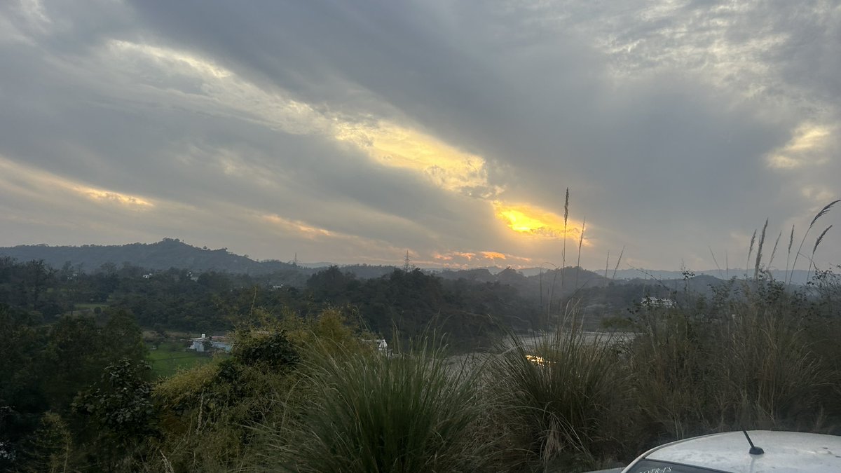 Moli Kaul 🇮🇳 tweet media