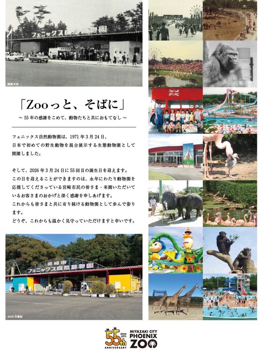 公式】宮崎市フェニックス自然動物園 on X: 