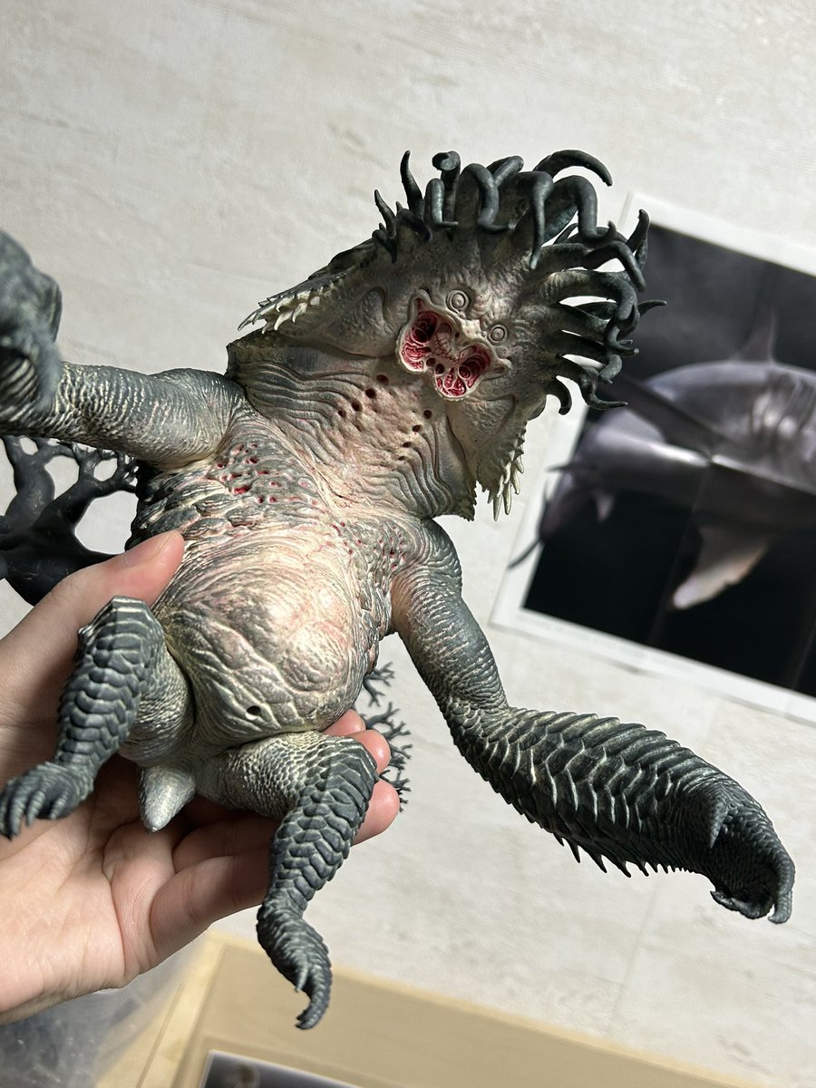 nao70shark tweet media