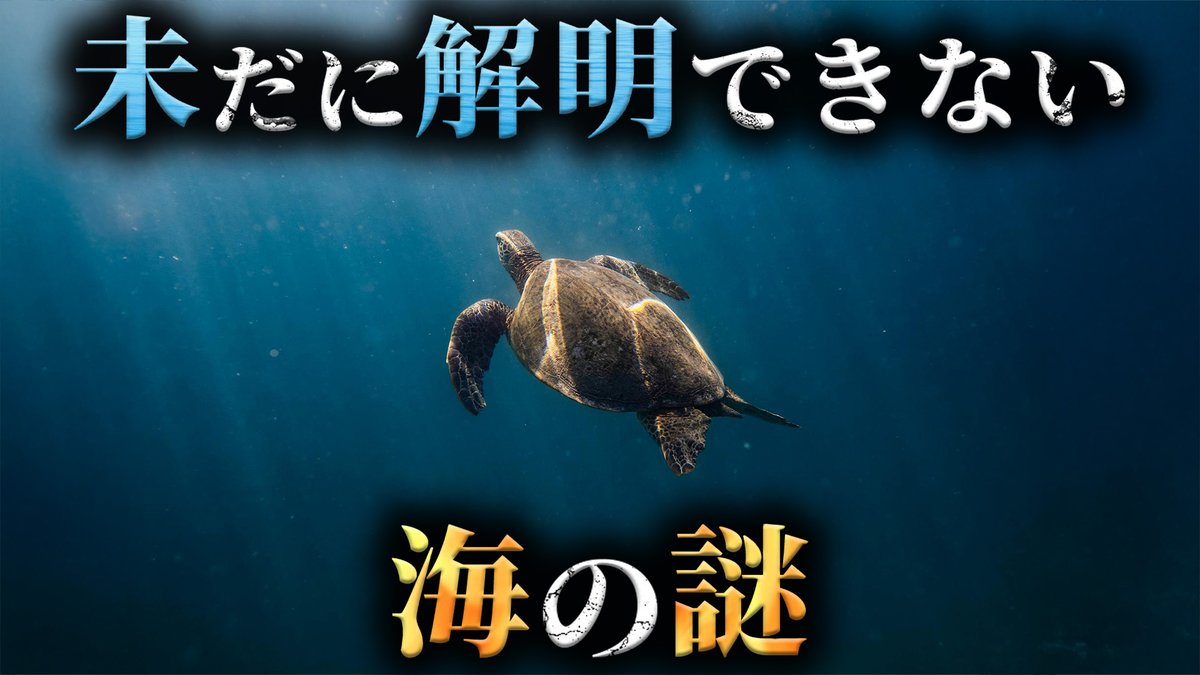 【未解明】人類がまだ5%しか知らない海の謎4選がヤバすぎた...。Part24【 ミステリー 都市伝説 未解決問題 】

youtu.be/jVufPzGGrQw