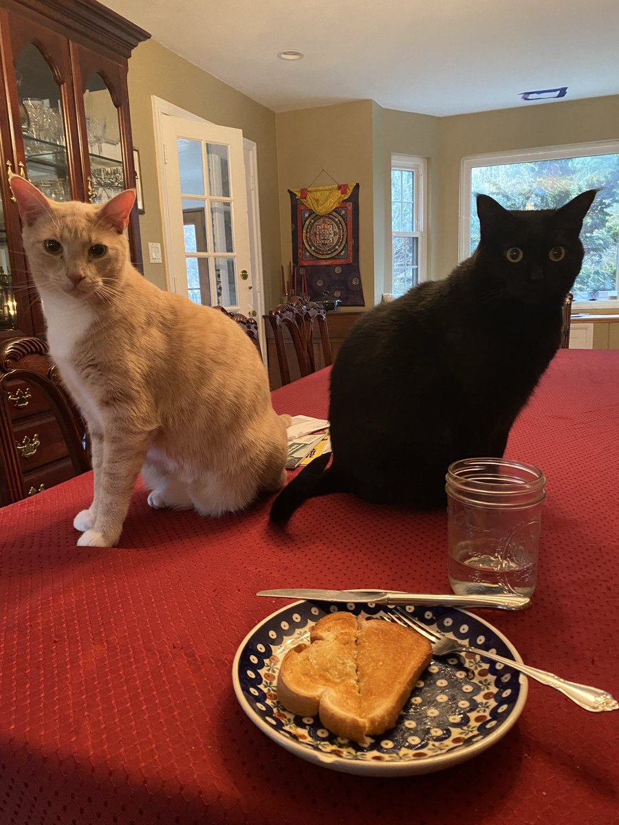 Dr Tracey Lynn Perez Koehlmoos tweet media