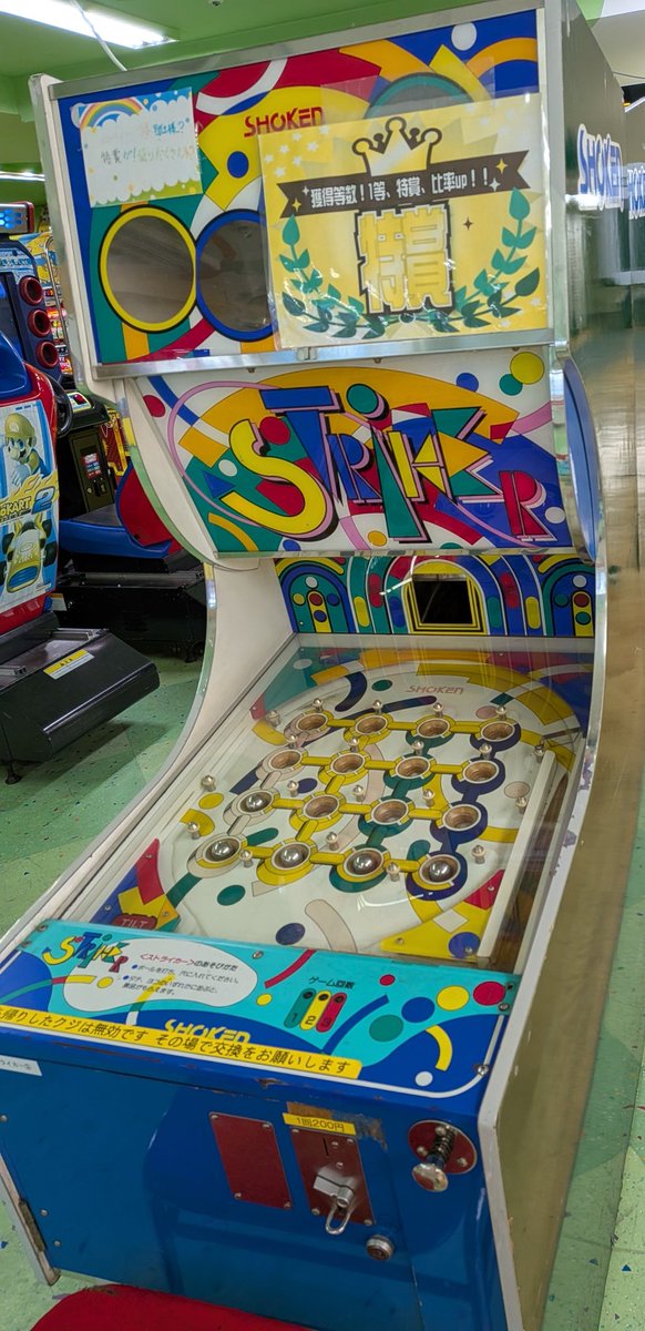 上杉きくの tweet media