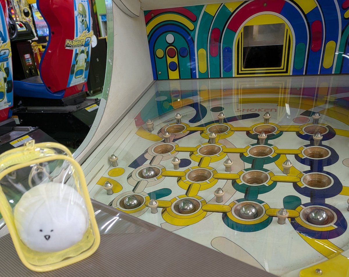 上杉きくの tweet media