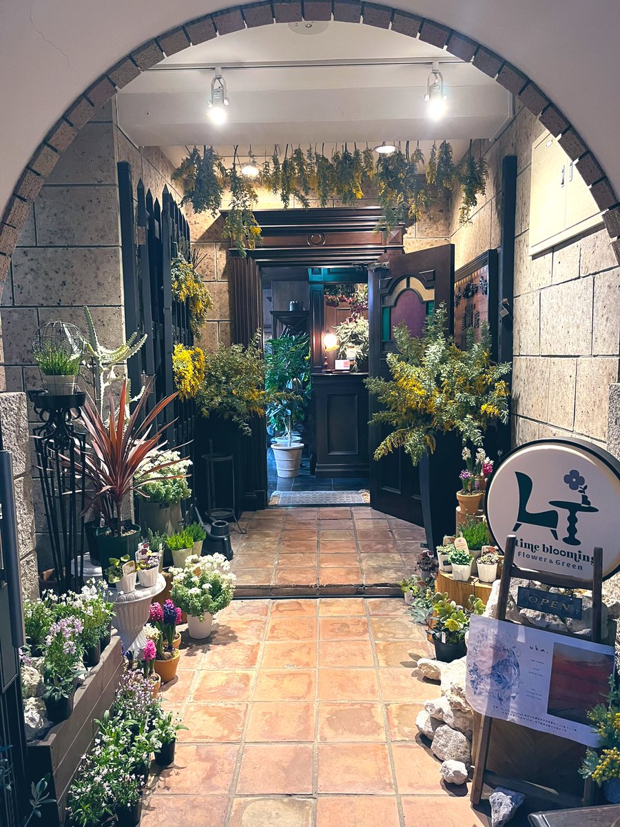 Ren_Wanderer's tweet photo. 本日は芦屋マキ先生（@a0z0o0 ）とMISAKIさん（@luiture ）の合同展「uka.」に行ってきました🦋
綺麗な花や緑たちに囲まれた空間、その中にお二方の絵やアクセサリーなどの作品が展示されていて……本当に素敵でした🪴（続） https://t.co/icL8TOY5Di