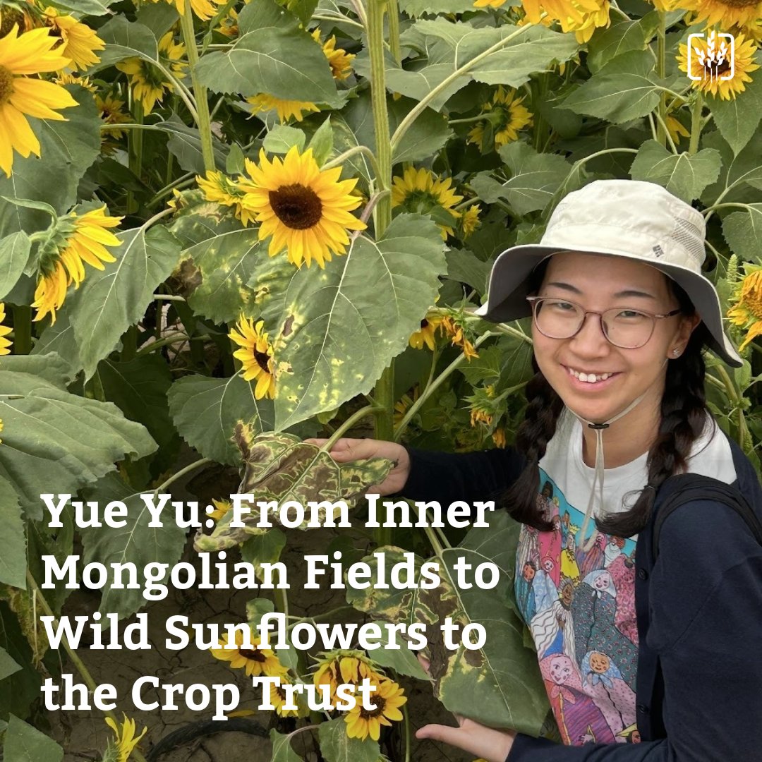 The Crop Trust tweet media