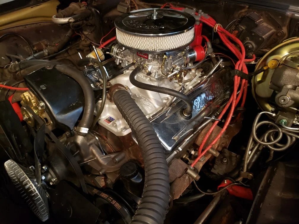 Christopher🕊 tweet media