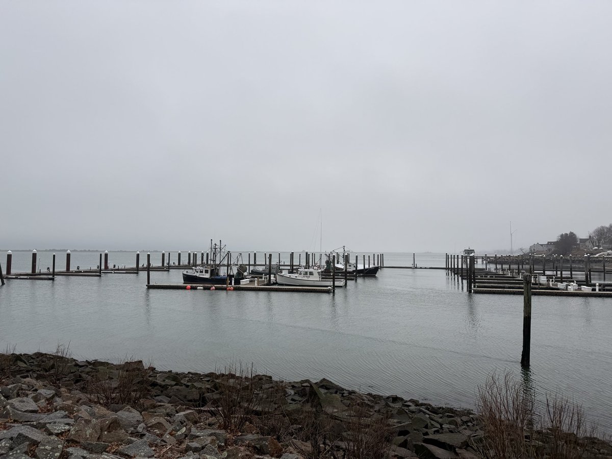 The Running Griffin tweet media