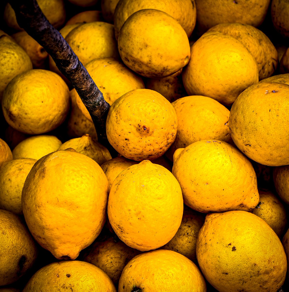 Manmohan Singh ( मनमोहन सिंह ) tweet media