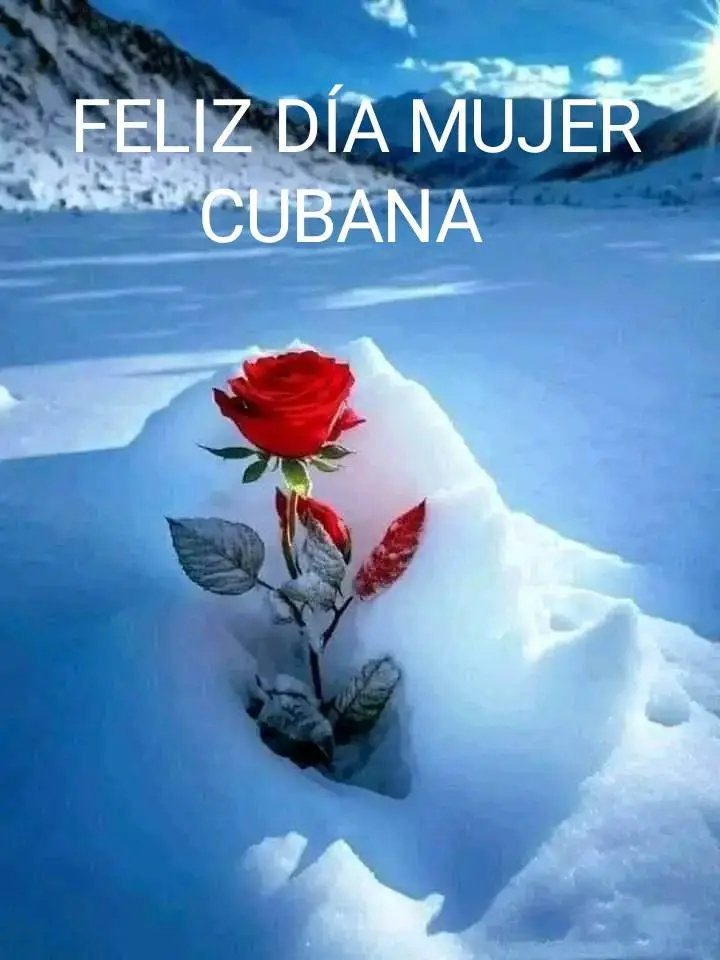 A ti #Mujer, por tu dedicación, valor, fortaleza, por todo tu sacrificio,  amor y entrega, eres una bendición. FELIZ DÍA DE LA MUJER.