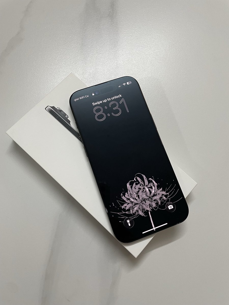 ChocoBear tweet media