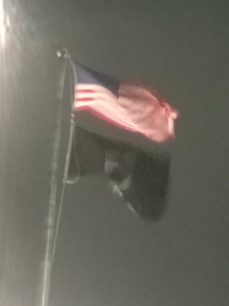 🌻 sunflower 🌻 tweet media