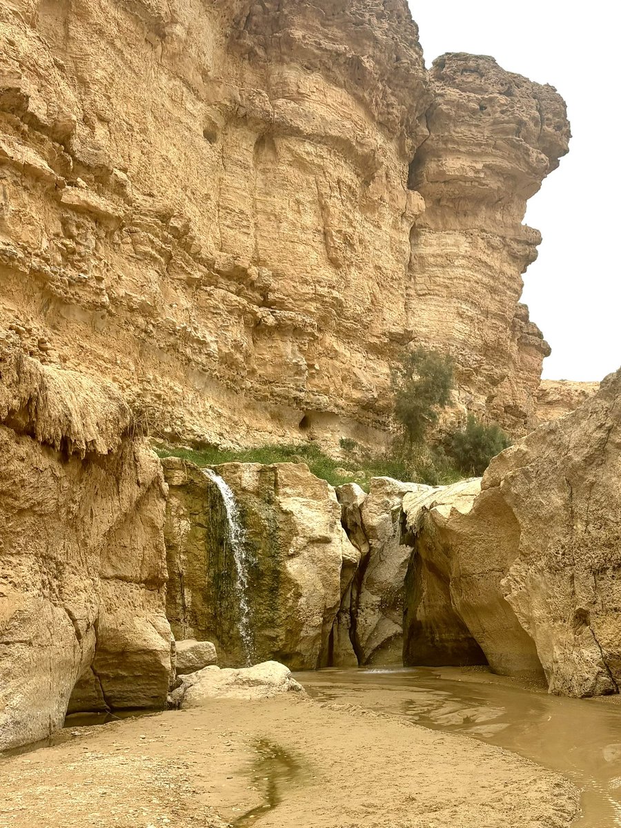 Rs7 🇹🇳 tweet media