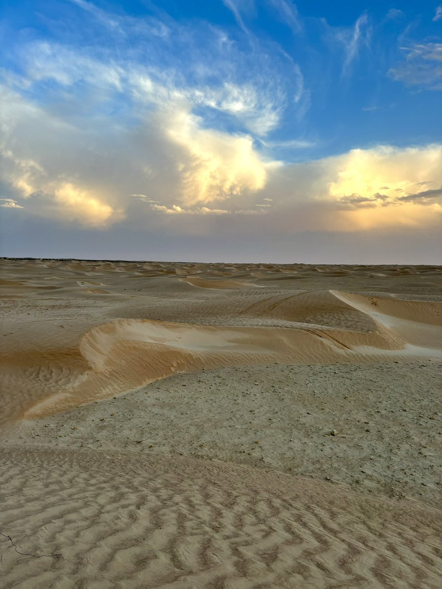 Rs7 🇹🇳 tweet media