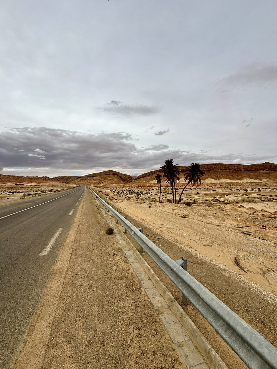 Rs7 🇹🇳 tweet media