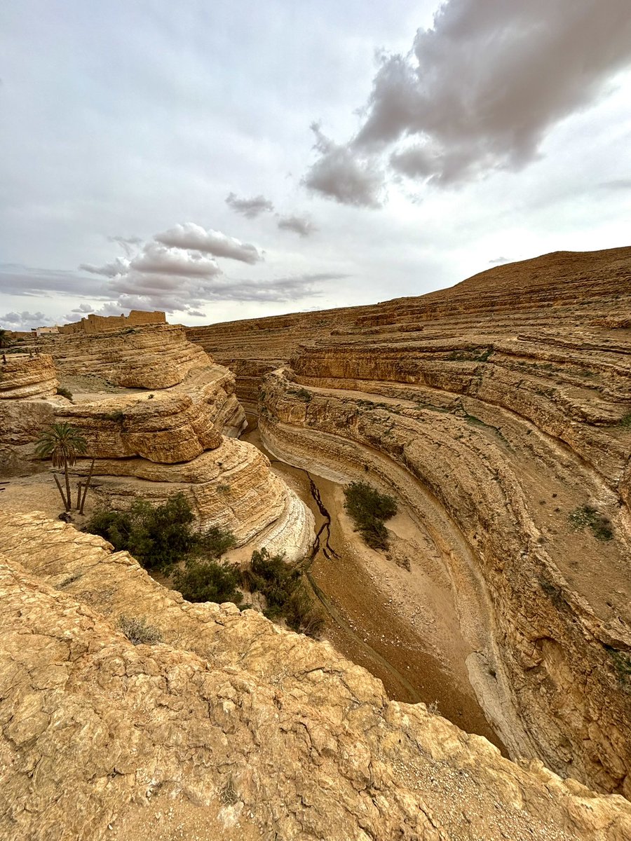 Rs7 🇹🇳 tweet media