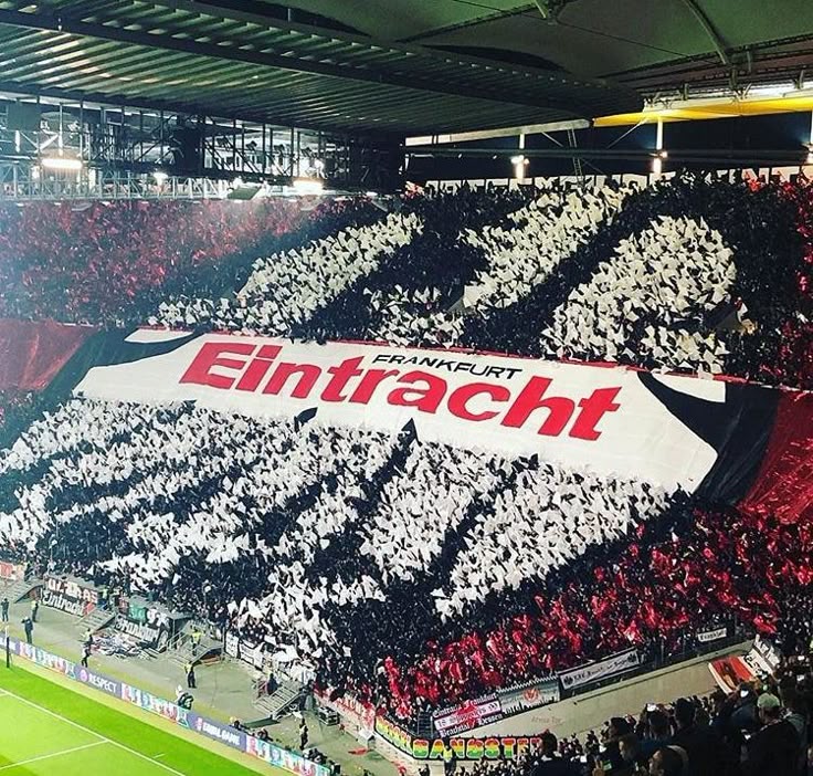 🦅🇦🇷 tweet media