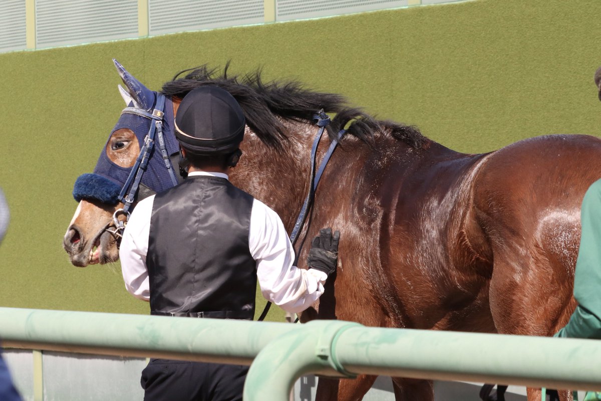 ミハ (@to_the_victory1) / Posts / X