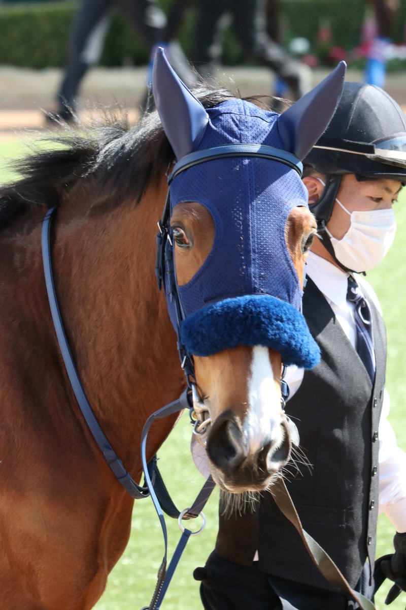 ミハ (@to_the_victory1) / Posts / X