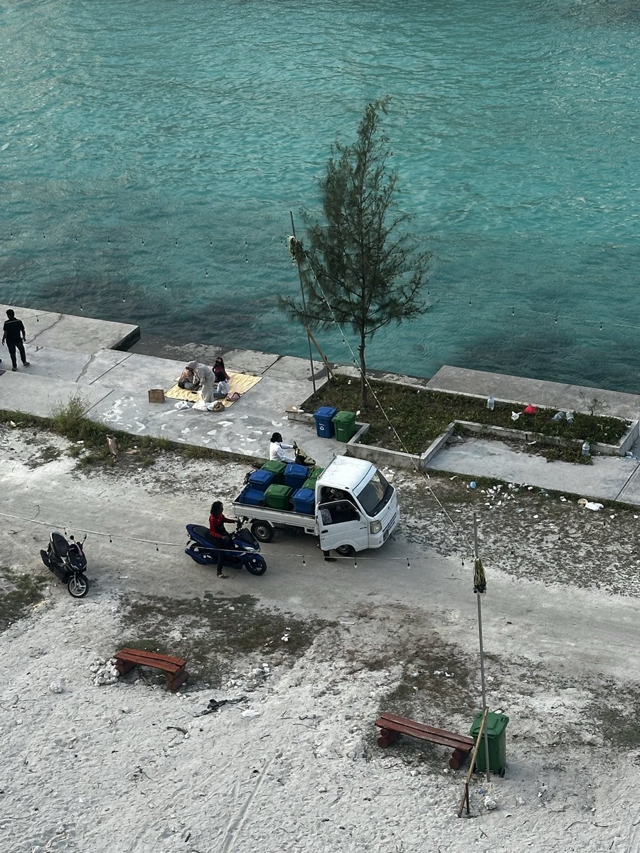 gadha ingey <a href="/malshasharyf/">Malsha</a> 👏