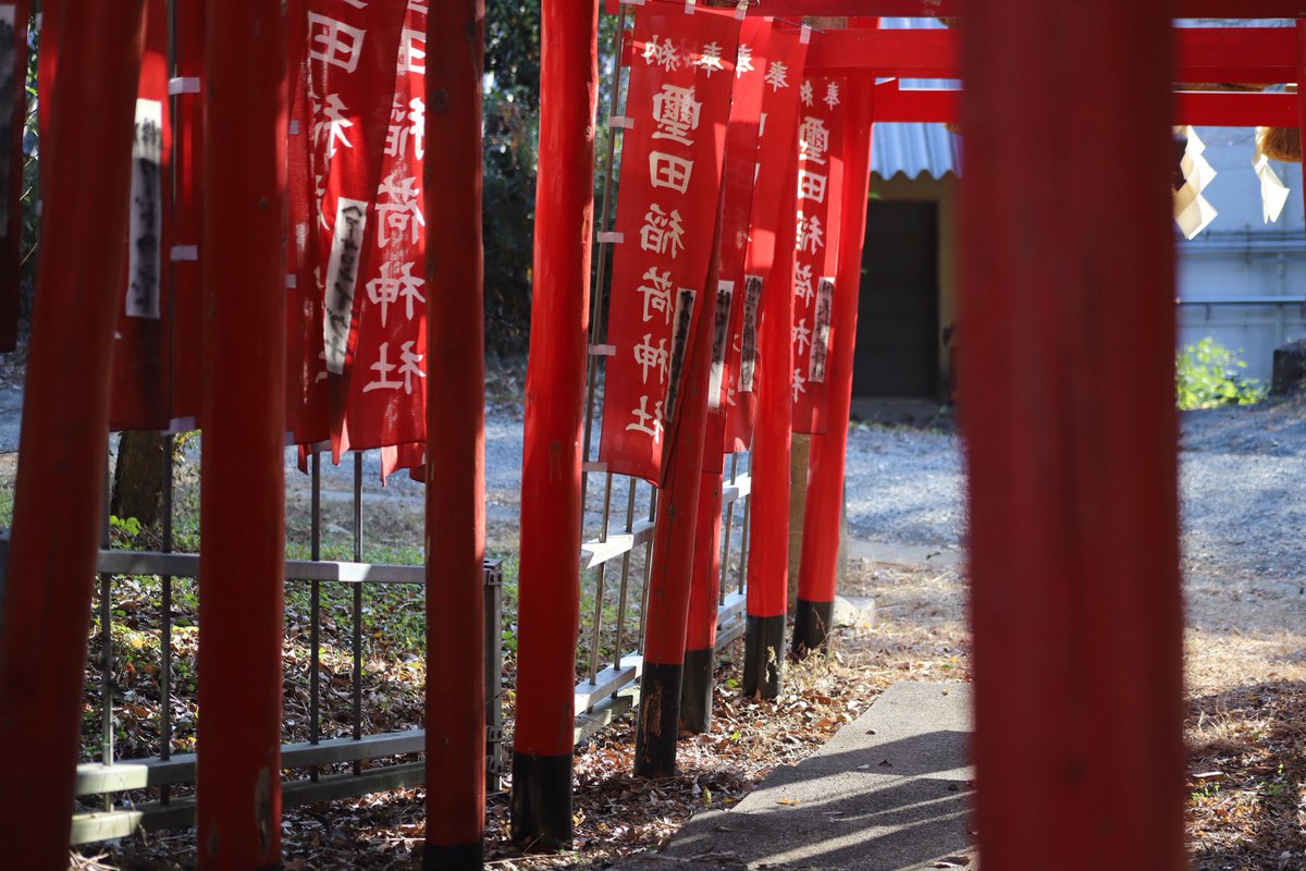 コスプレフロンティア公式 tweet media