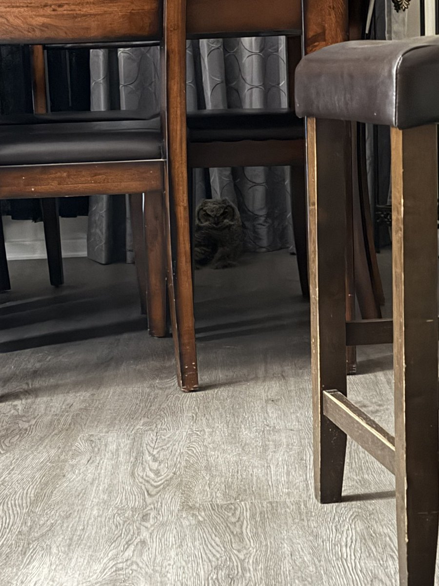 TheSnazzzyRock tweet media