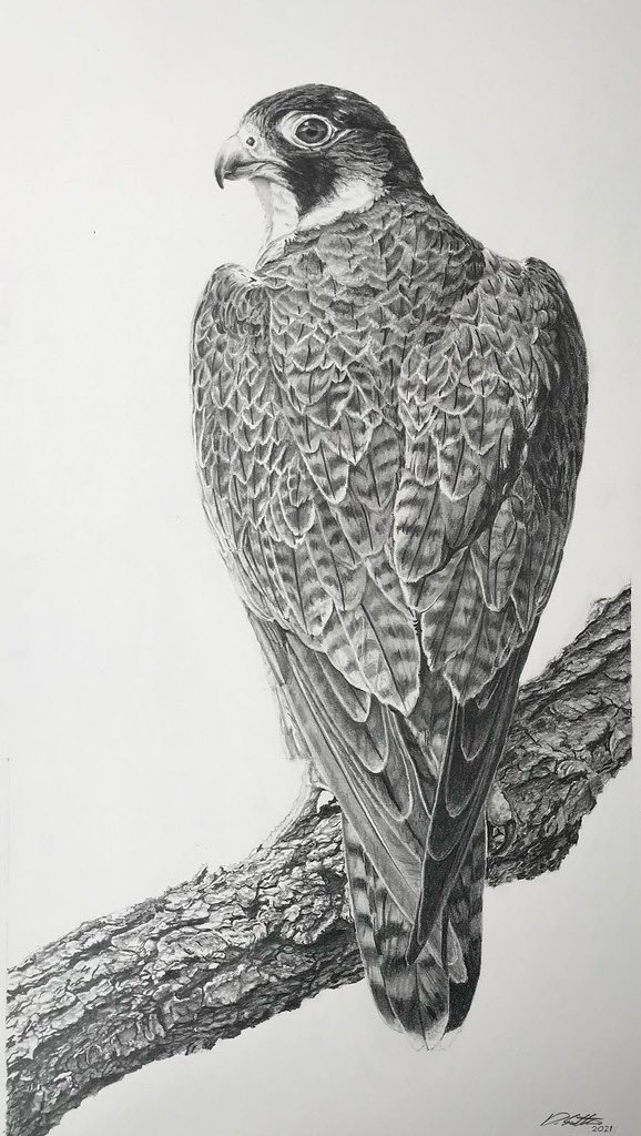 David Salter tweet media