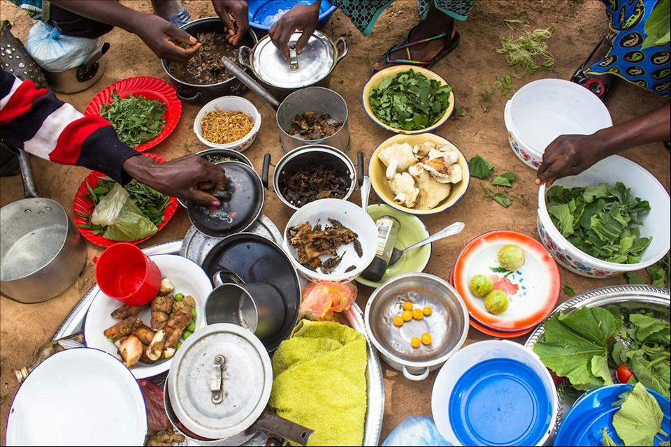MENAFN's tweet image. Hunger Crisis Is Set To Get Worse In West And Central Africa Why And What To Do About It #Hunger #Crisis #Worse #West #Central #Africa #What #About #USA #Russia #Biden #Ukraine #War #Palestine #Gaza #Israel # dlvr.it/TRMb2K