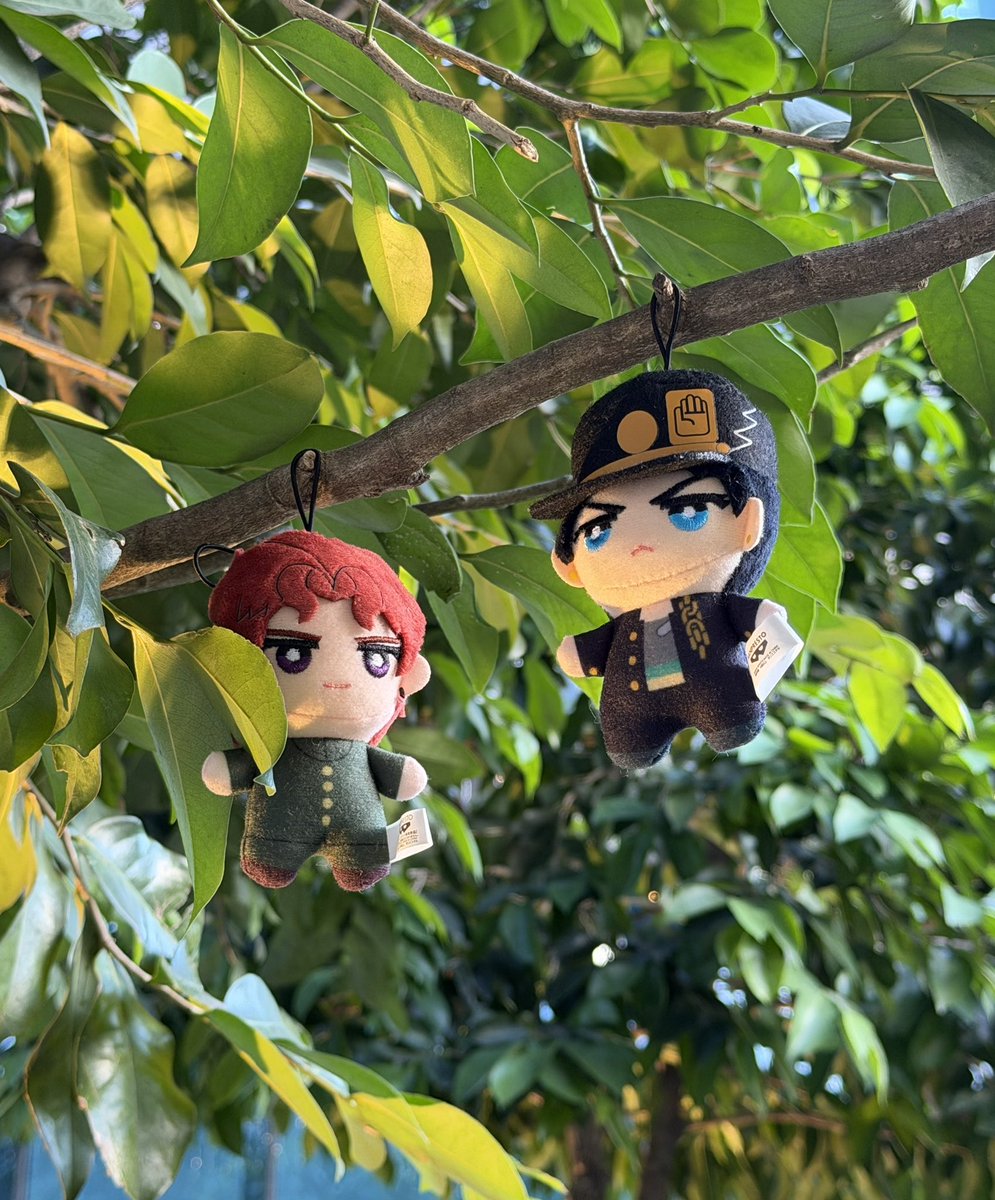 あいち tweet media