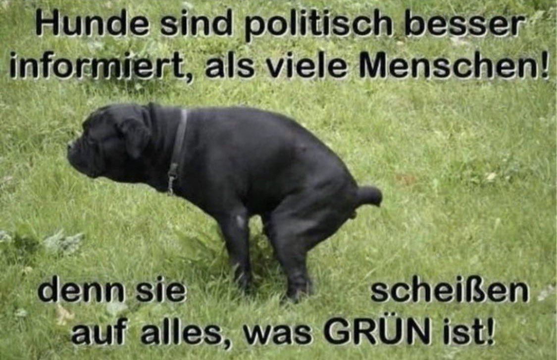 𝕲𝖊𝖋𝖆𝖑𝖑𝖊𝖓𝖊𝖗 𝕰𝖓𝖌𝖊𝖑 🐀💙🇩🇪 tweet media