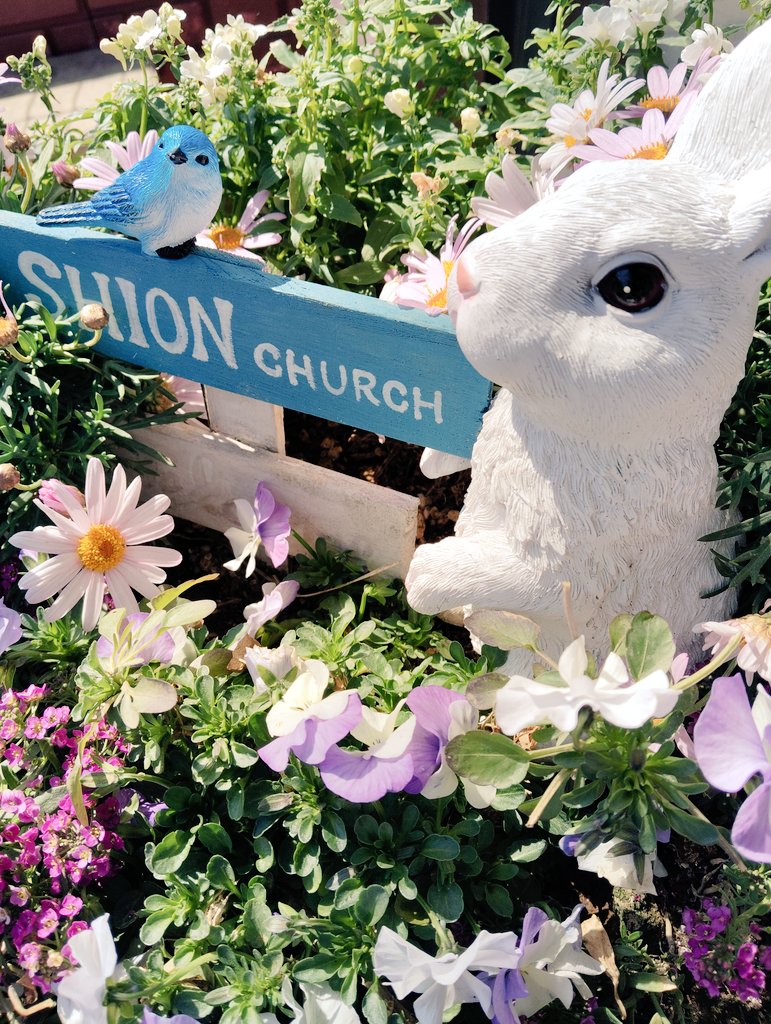 嬉しい嬉しい主日の夜です🌛
仕え敬う生がどんなに良い生なのか必ず実践して悟るようにと切なる心で伝えてくださった説教でした。イエス様が大好きでイエス様のように神様と人に仕え敬って生きてこられた鄭明析先生だからこそ伝えられる説教だとしみじみと感じました。

#つくば始音教会
#CGＭつくば