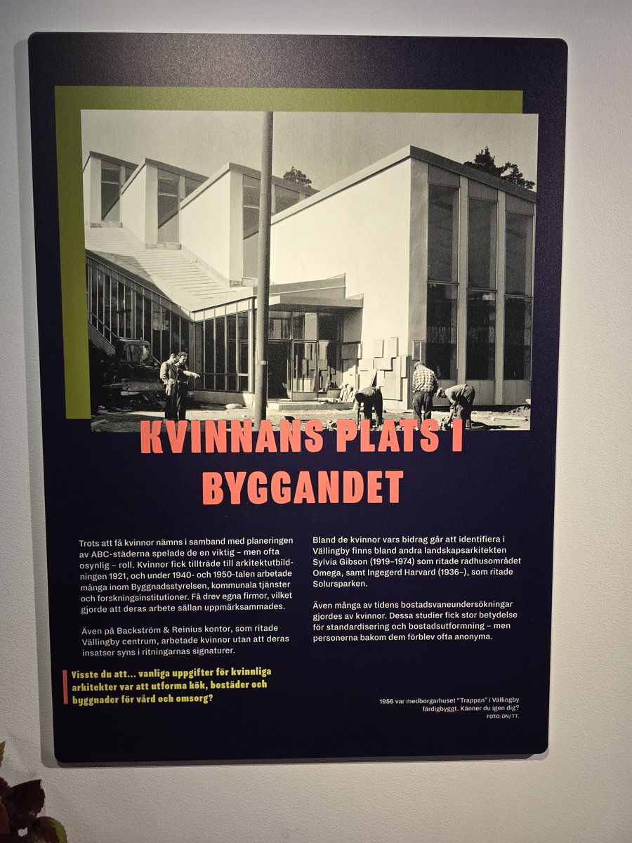 Daniel Darpe 🤙🏼 tweet media