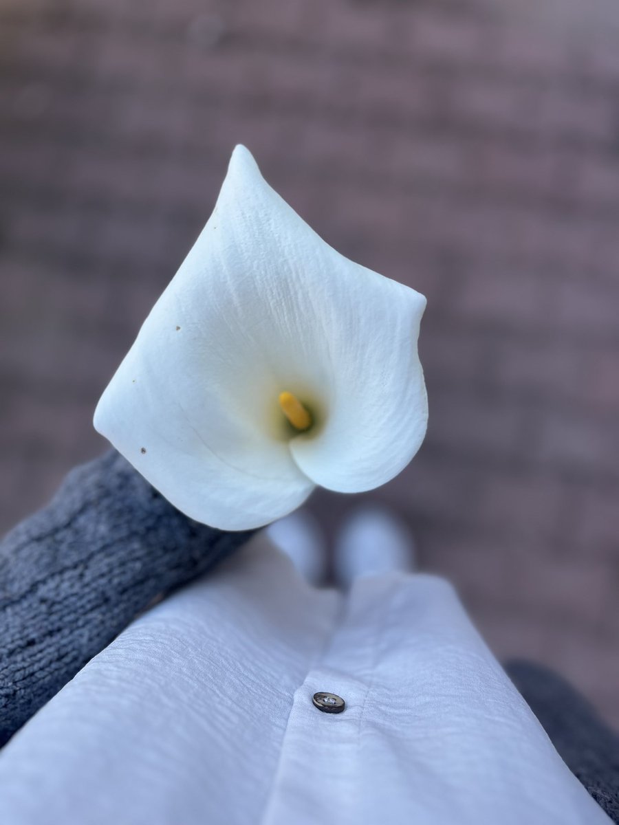 ucakmodundaa's tweet photo. -Ne hissediyorsun 
-bu seni mutlu etti mi
-tatlı ister misin
-Kahve içer misin 
-Harika bir annesin
Böyle böyle kazandık böyle böyle kaybettik https://t.co/FG0QX0UTJr