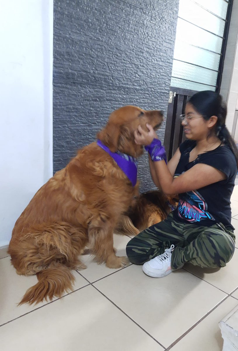 ABOGADOS ANIMALISTAS DE PUEBLA tweet media