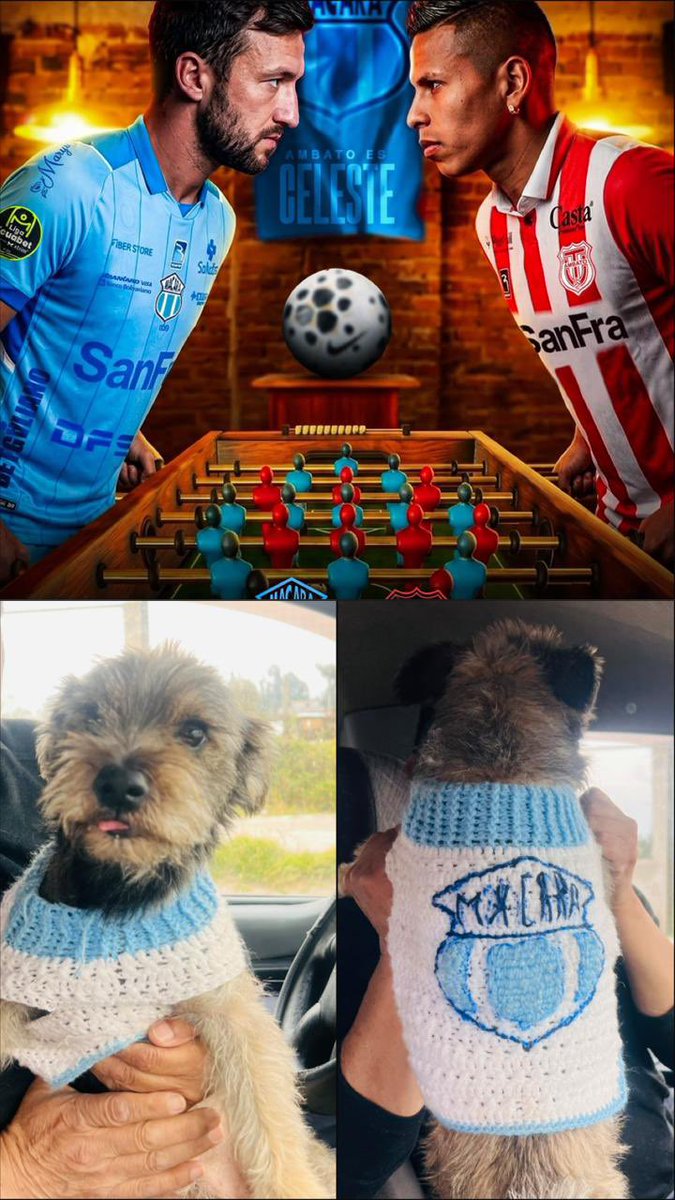 Edison nando lem tweet media