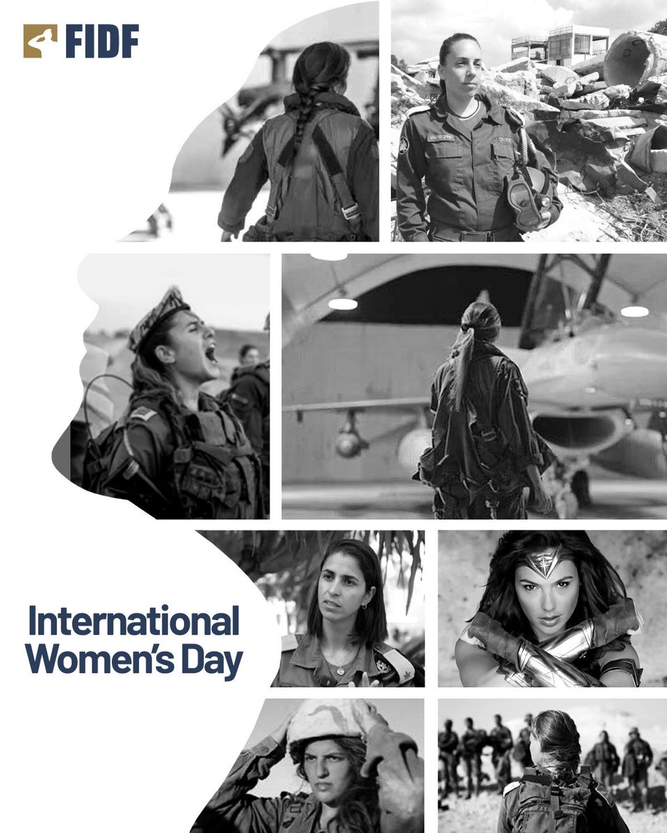 Friends of the IDF tweet media