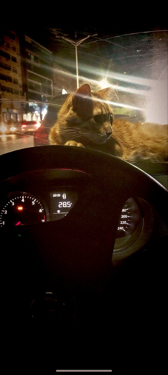 siskosays tweet media