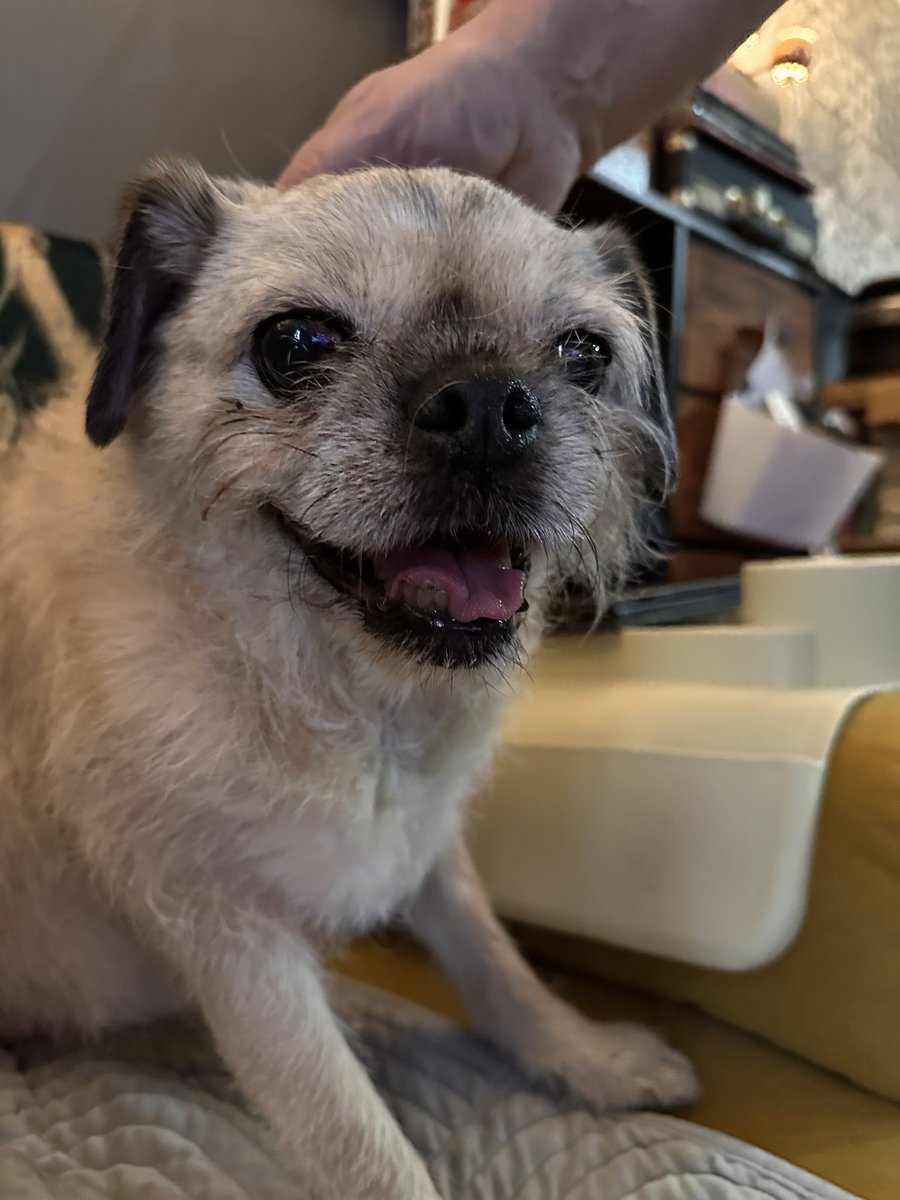 Trudi Madly Deeply tweet media